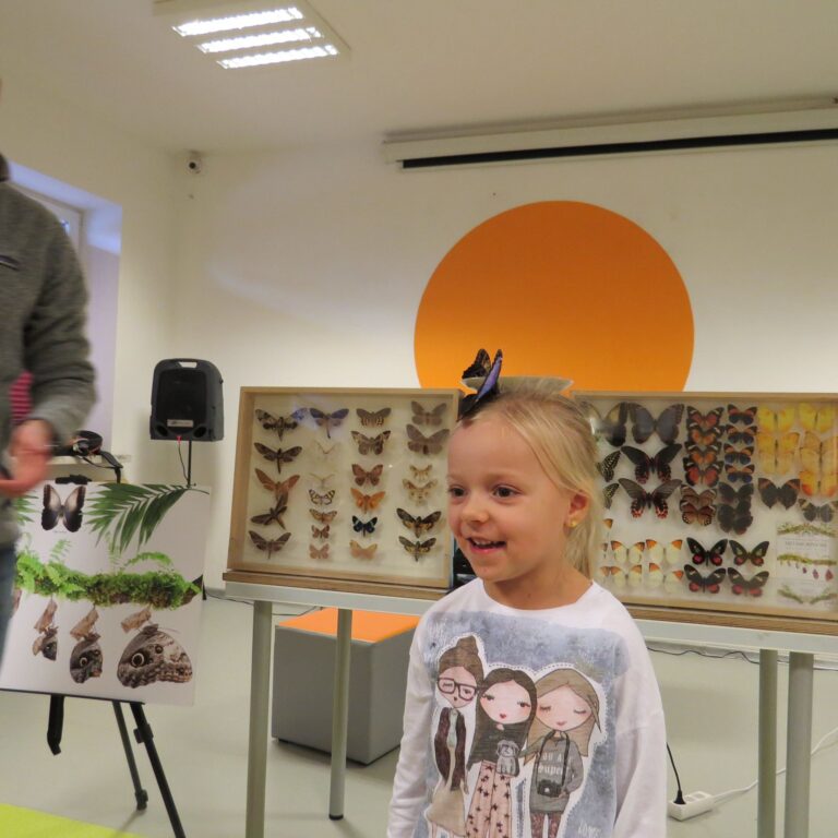 PRZYLECIAŁY DO NAS PIĘKNE MOTYLE!!!