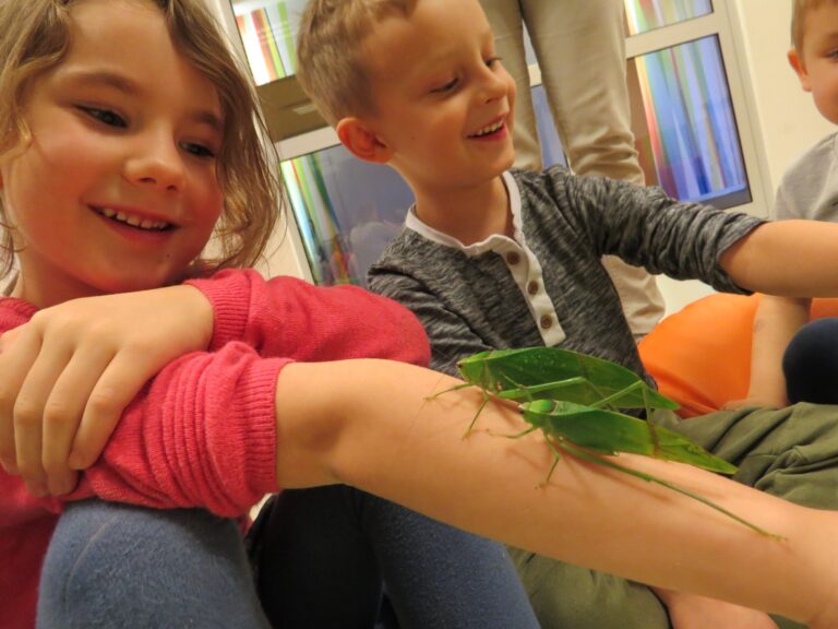 Żywa Lekcja Przyrody