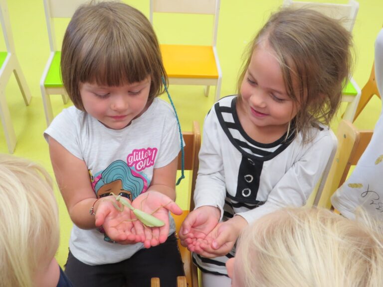 Żywa lekcja przyrody